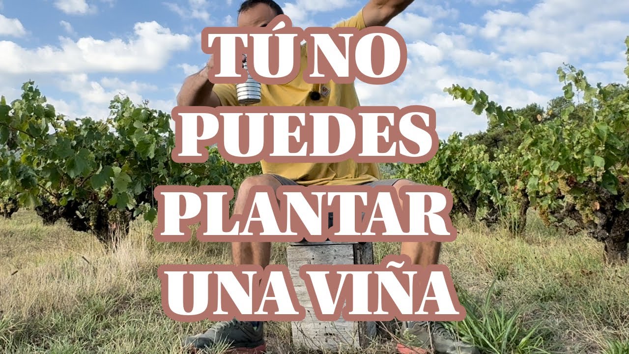 Tú NO PUEDES plantar una viña