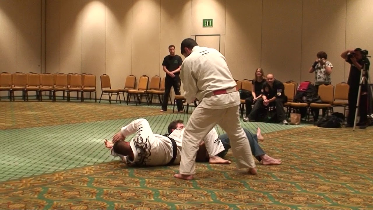 Krav Maga, GM Dennis Hanover Seminar, 2014 WHFSC. Part 1