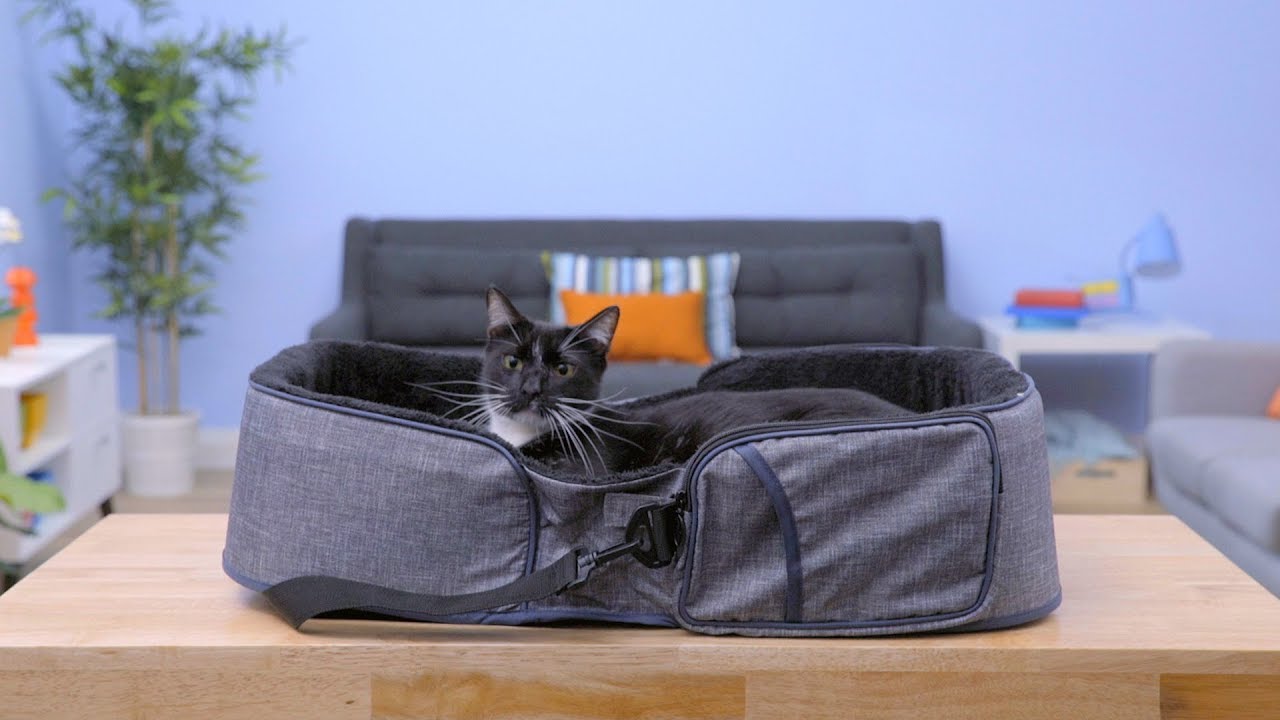 Gen7Pets Travel Beds | Chewy