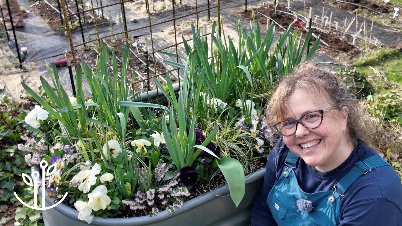 Free Plants, Anyone? Dividing Dahlias, Cutting Back Snapdragons & Garden Chores