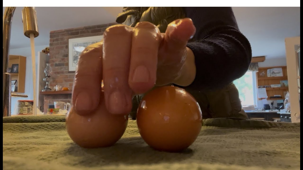 Фермерский опыт, новое начало