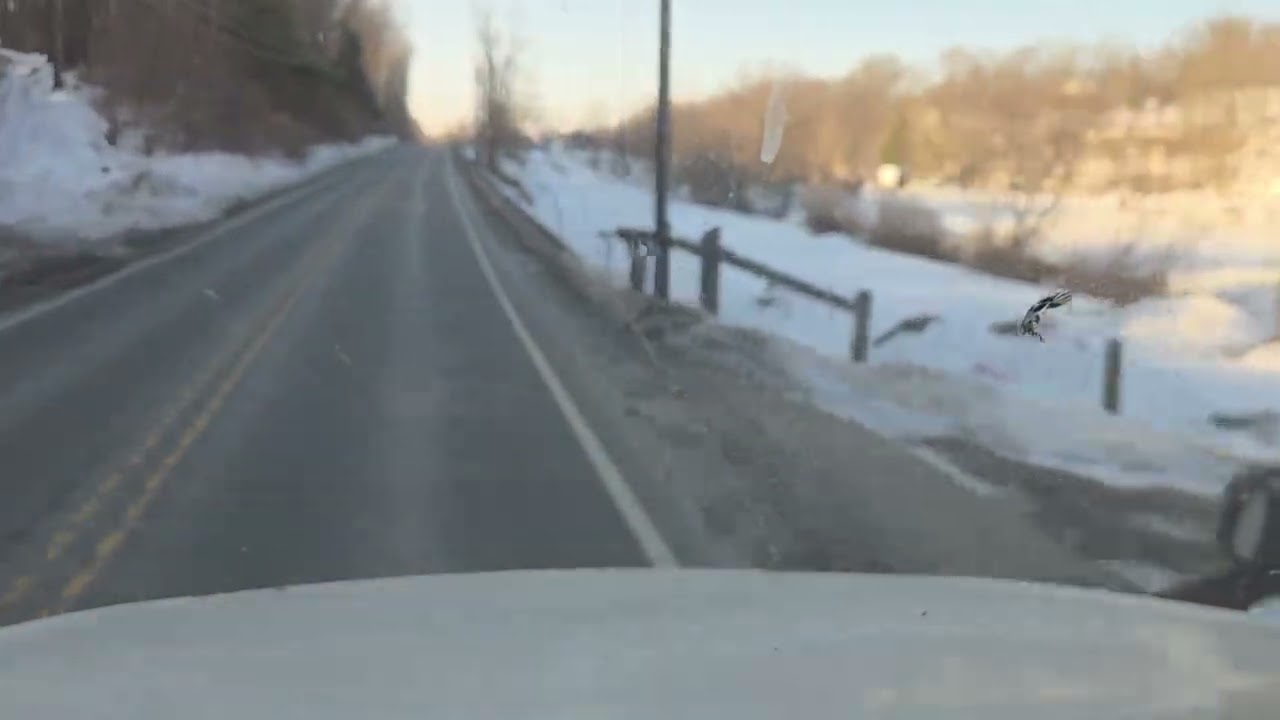 Missed my exit im PA.#chicagotruckingcompanies 