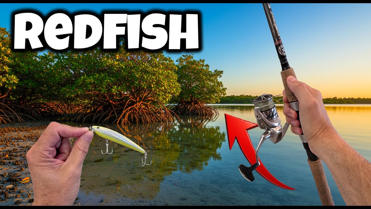 Does Cold Weather Actually Boost Redfish Action?