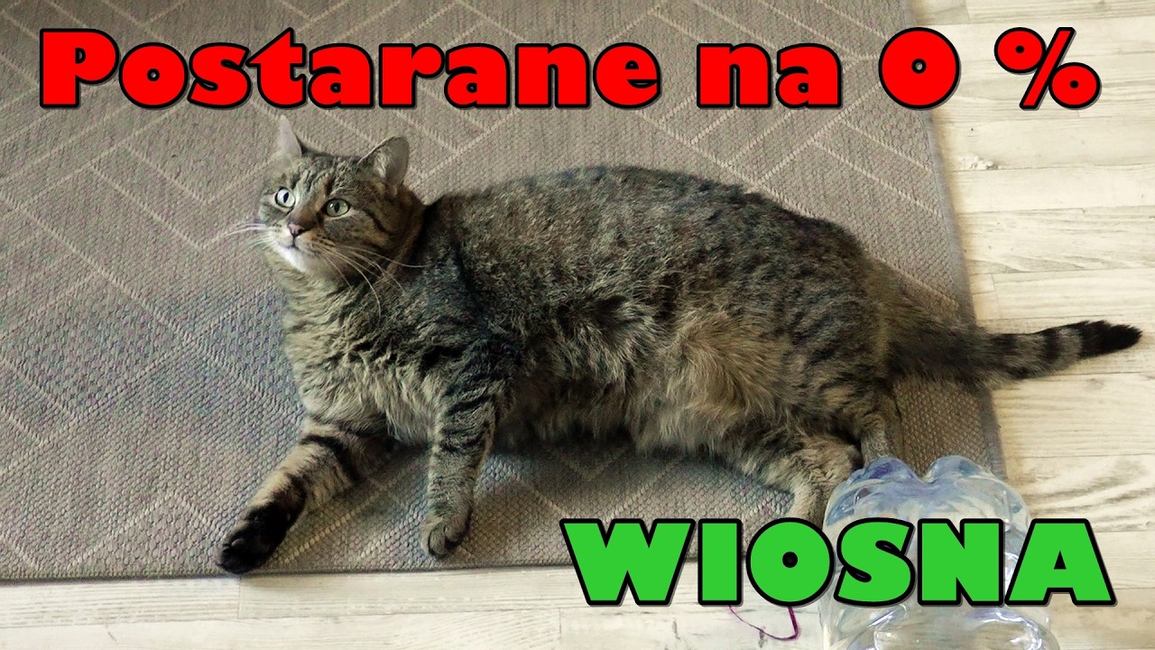 Miało być postarane na 50%, ale nie dałem rady. Trzeba zmienić strategię. WIOSNA ACH TO TY