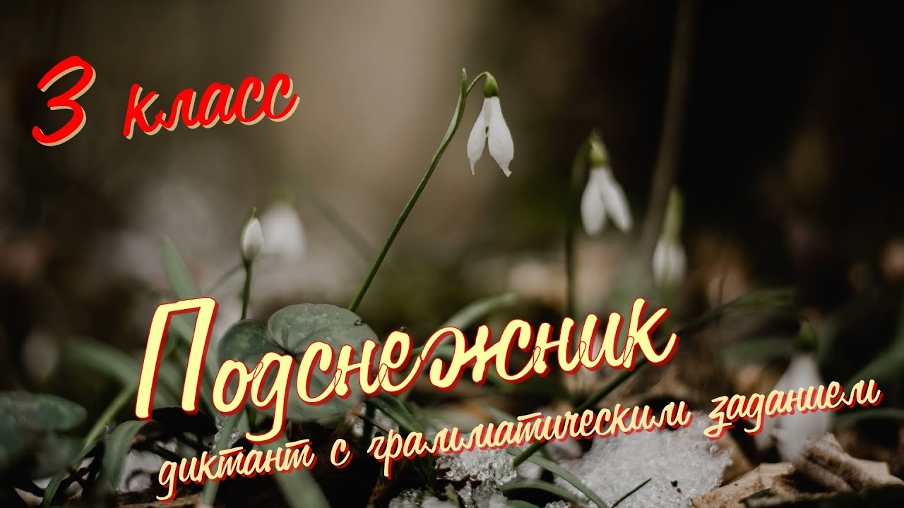 Диктант по русскому языку c грамматическим заданием! 3 класс. Подснежник