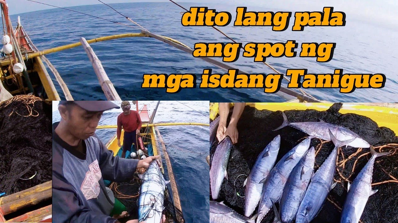 Dito lang pala ang spot ng mga isdang tanigue || JACKPOT