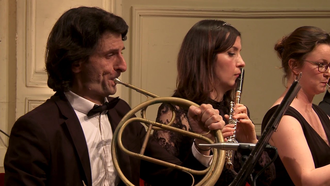Wolfgang Amadeus Mozart, Symphony No.40 in G minor - KV.550 (4/4)