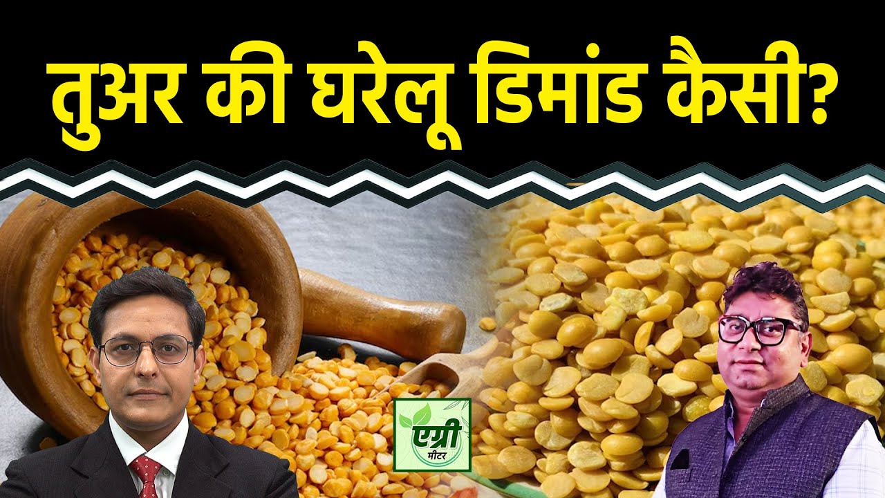 Agri Commodity : तुअर में क्या रणनीति बनाएं कारोबारी? NCDEX | Commodity Market | NCDEX