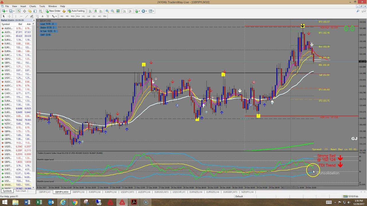 How To Read The TDI (Traders Dynamic Index) Indicator