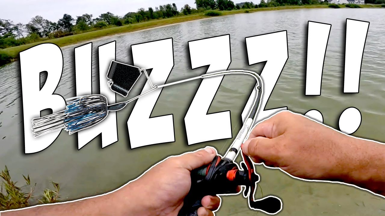 Topwater Fishing for Bass - BUZZBAIT ACTION!