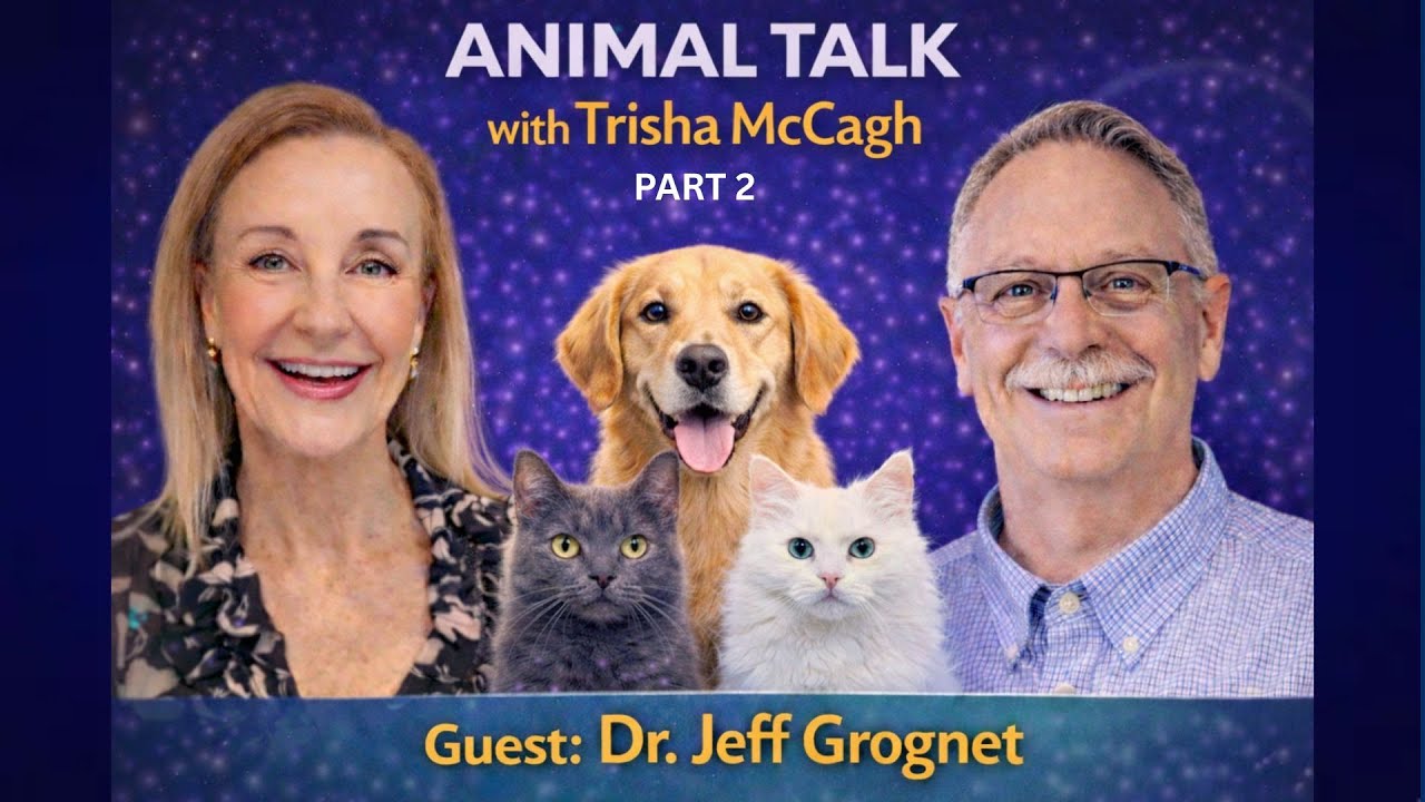 Holistic Pet Care: Looking Beyond Symptoms