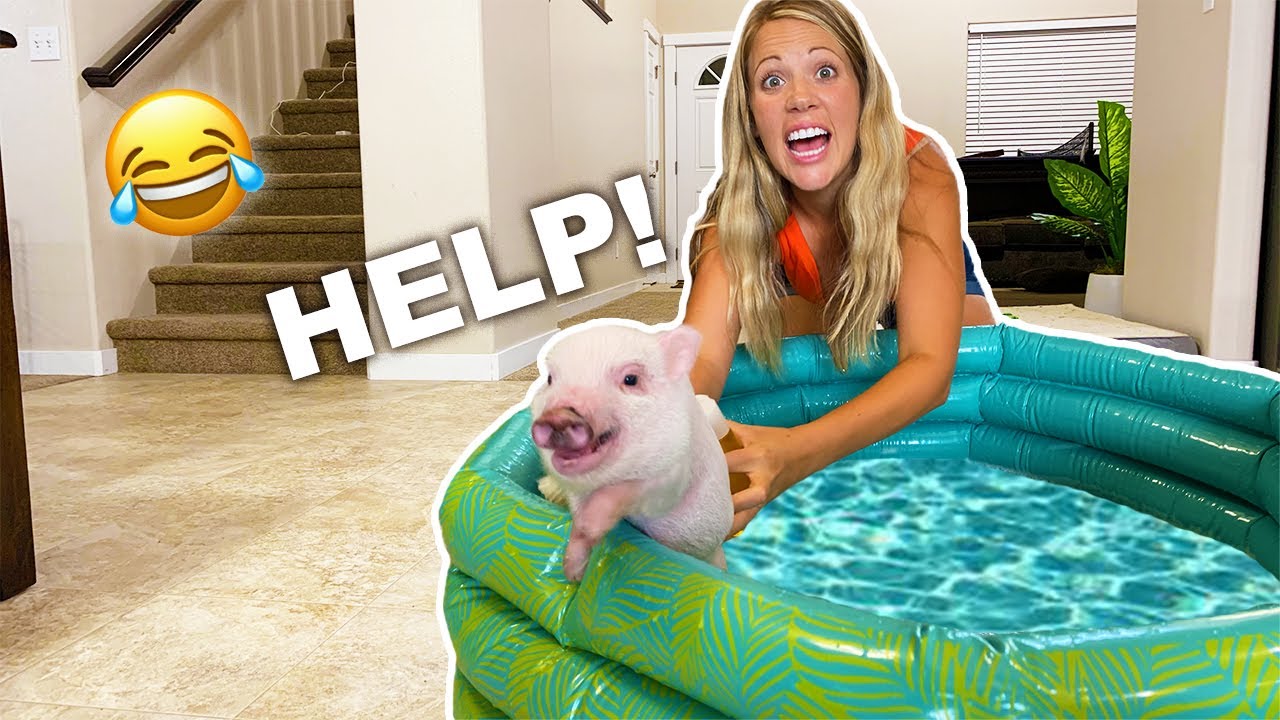 Giving My Mini Pig Her First Bath! (BAD IDEA)