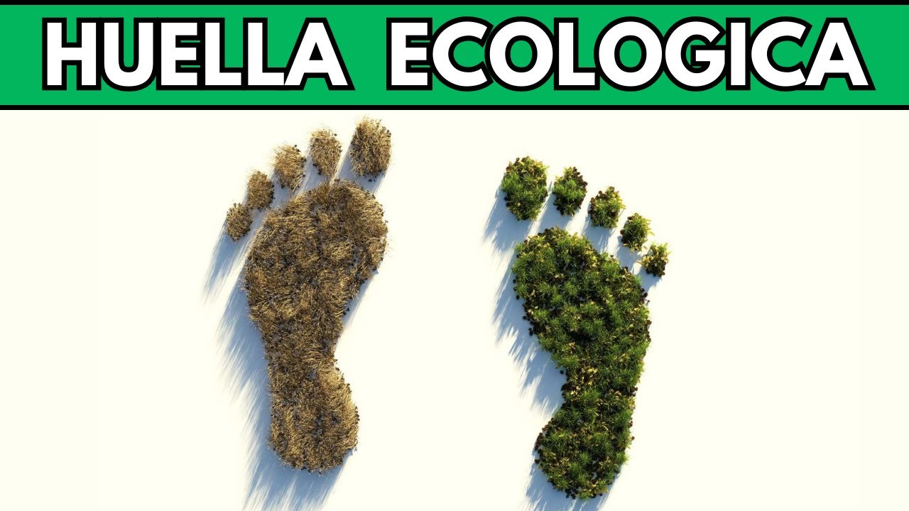 Que es la HUELLA ECOLOGICA | DEFINICION | como reducir mi HUELLA ECOLOGICA