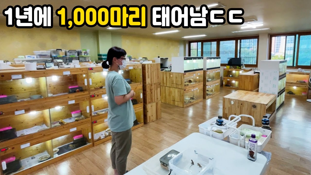 1년에 드래곤 1000마리씩 태어나는 농장에 다녀왔습니다ㄷㄷ 부산에 이런 곳이 있다니!