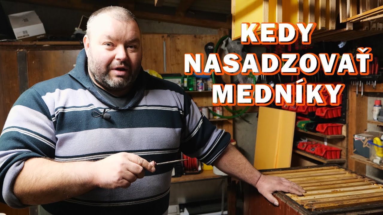 163. Kedy nasadzovať medníky - príprava