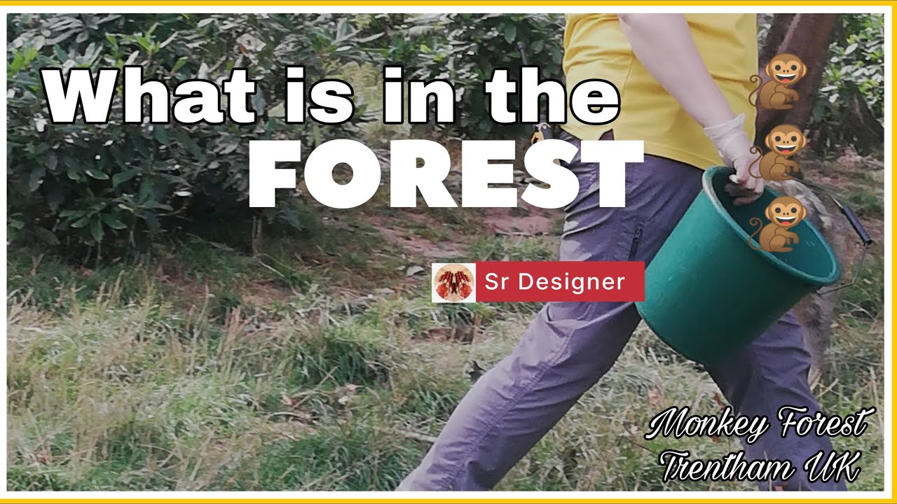 Inside the Monkey Forest Trentham UK/ (part 2) SR Designer