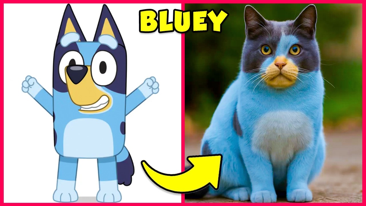 BLUEY en CHATS 💙😾 + Devine la VOIX...! 🔊 Bluey, Bingo, Socks, Chilli, Bandit, Snickers