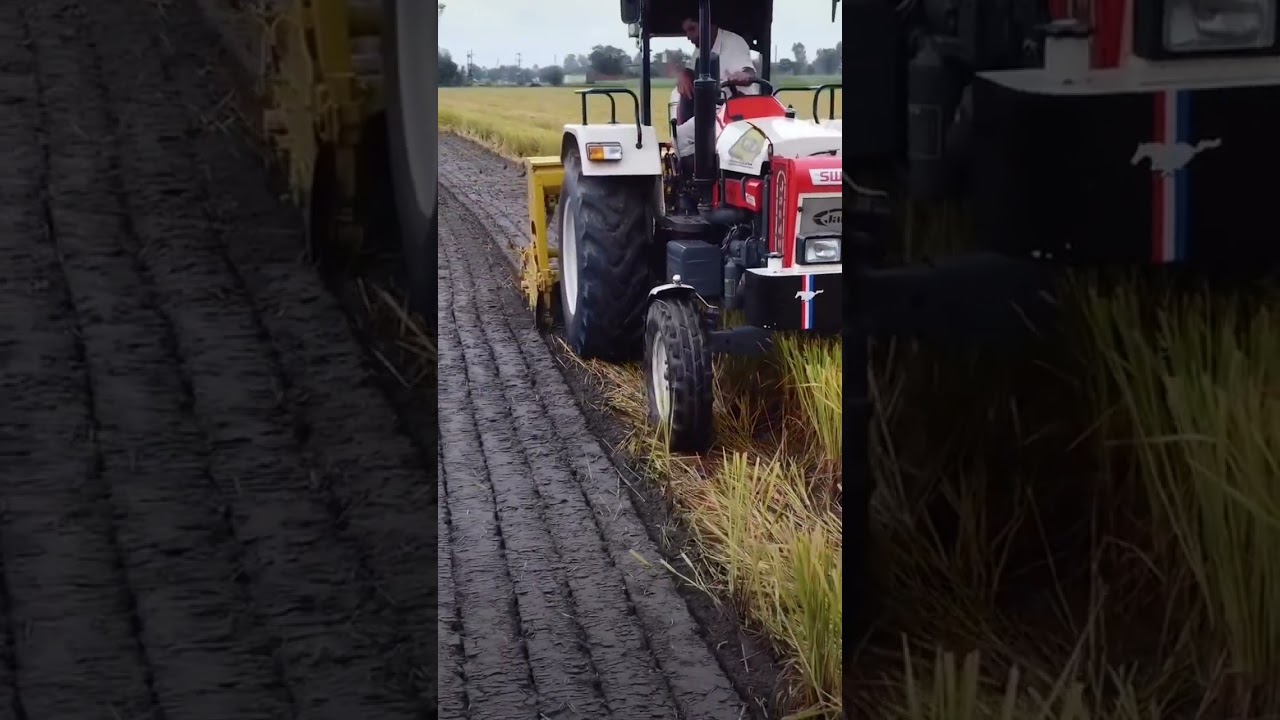 Super seeder #khetigyan #superseeder #trendingshorts #viralshorts #farmer #praali #technology #agg