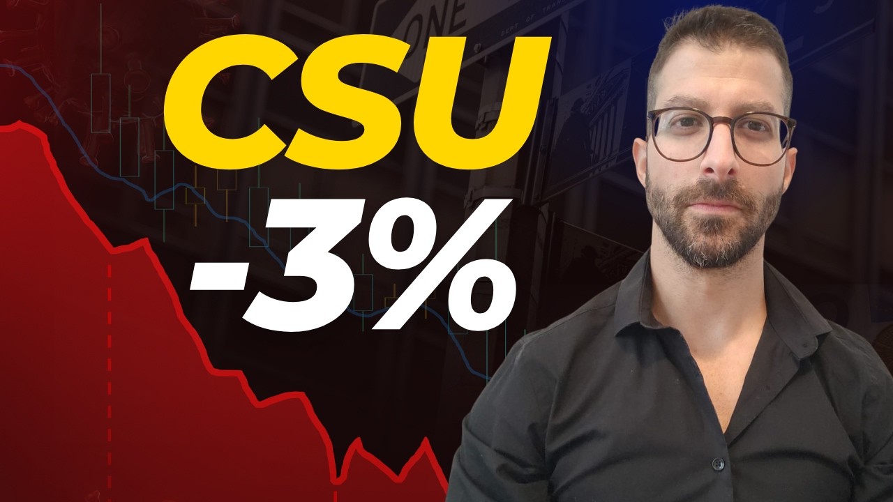 Constellation Software: Strong Results, Stock Down – Why?