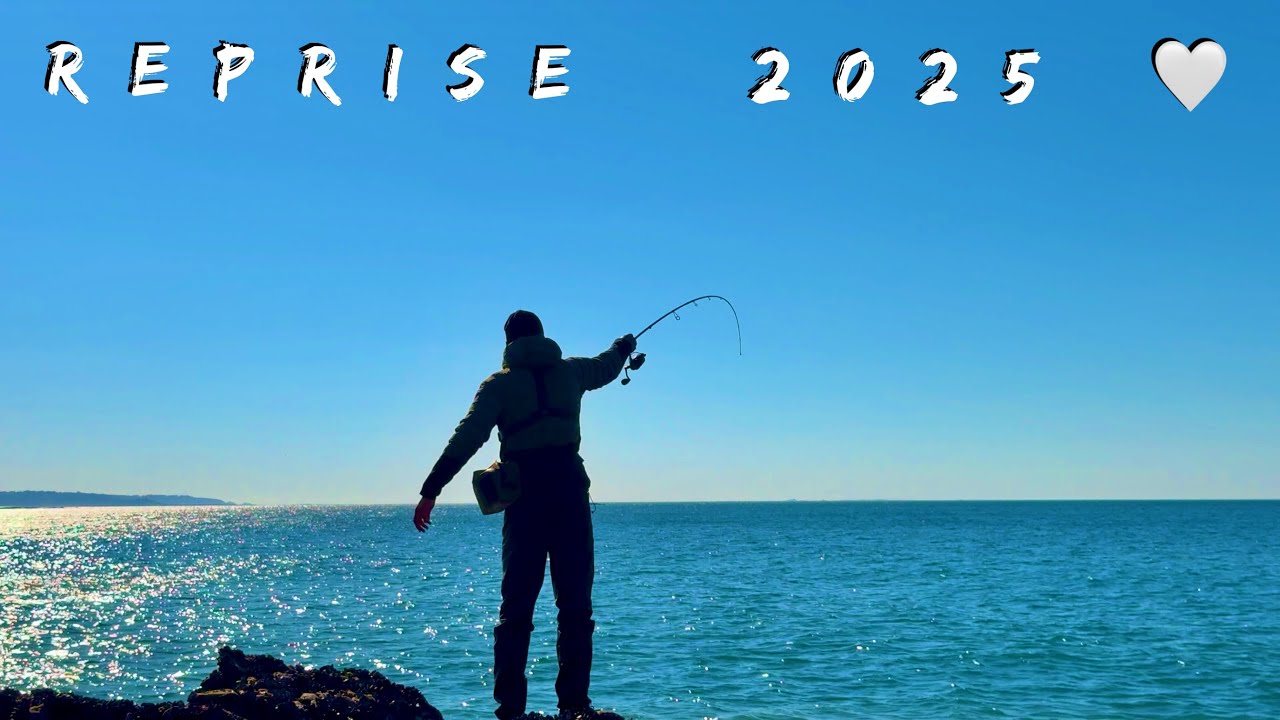 Reprise 2025 de la pêche du bar du bord !!! 🫠