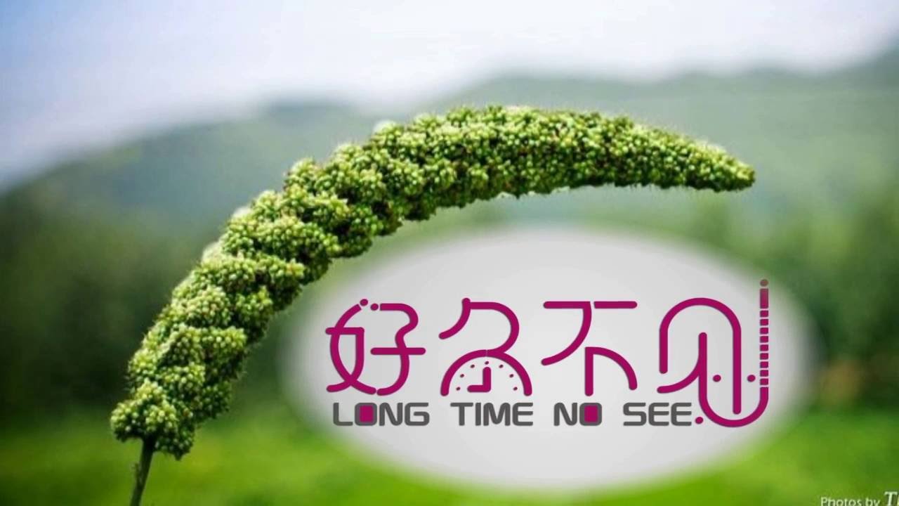 好久不見(おひさしぶりね)-歌詞