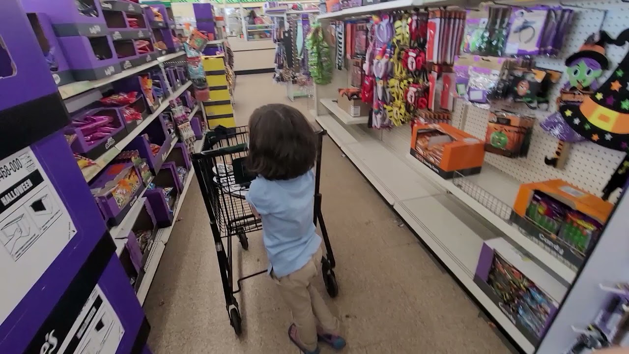 Pandi Goes Shopping at The Dollar Tree