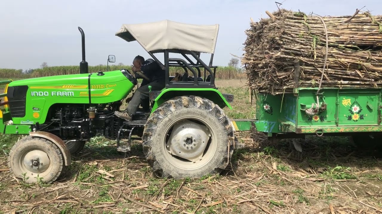 गन्ना की Trolley Indofarm 3035DI 38HP खेत निकाल पाएगा। 50 क्विंटल गन्ना मोरना चीनी मिल मुजफ्फरनगर।