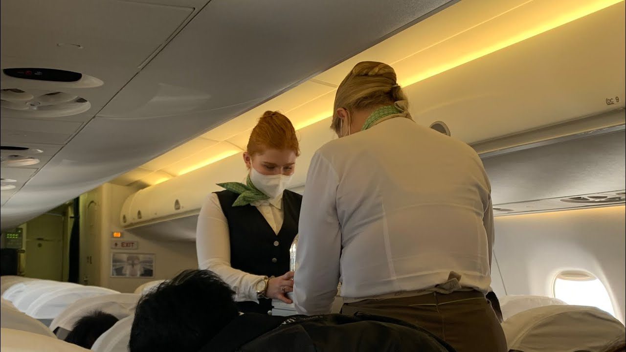 Bamboo Airways Embraer E195 Con Dao - Hanoi (VCS-HAN) by Great Dane Airlines Economy Class