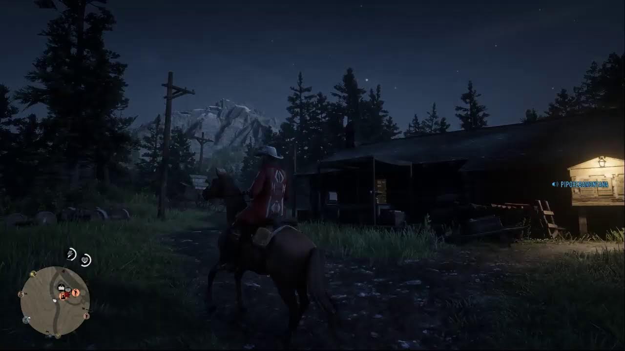 Red dead online #9