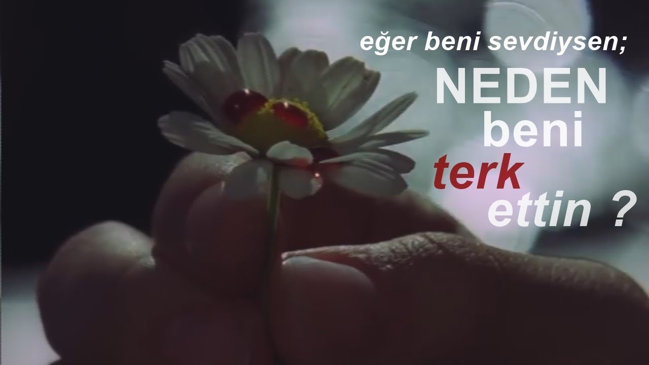 Kodaline - All I Want (Türkçe Çeviri)