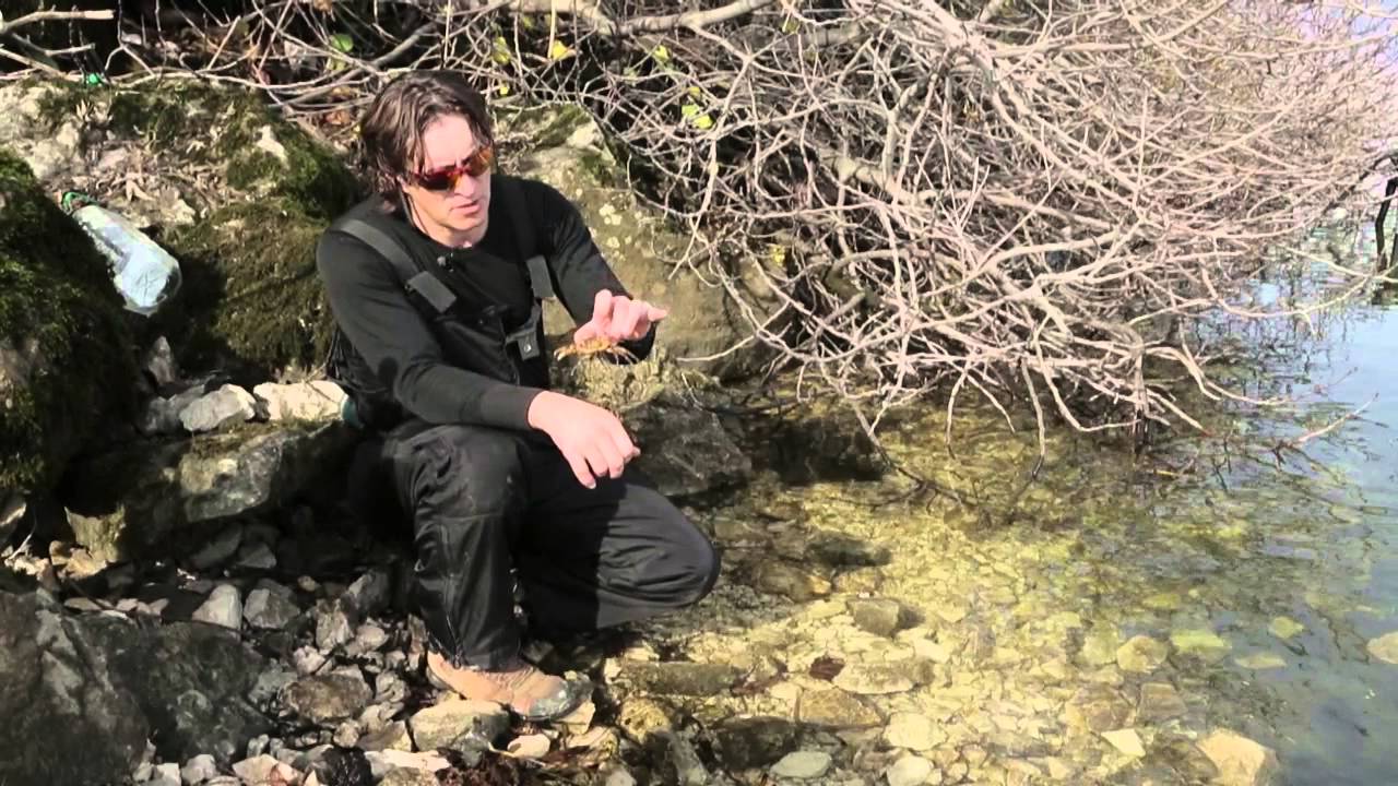 Диалоги о рыбалке. Черногория. Форель. Часть 1 (HD)