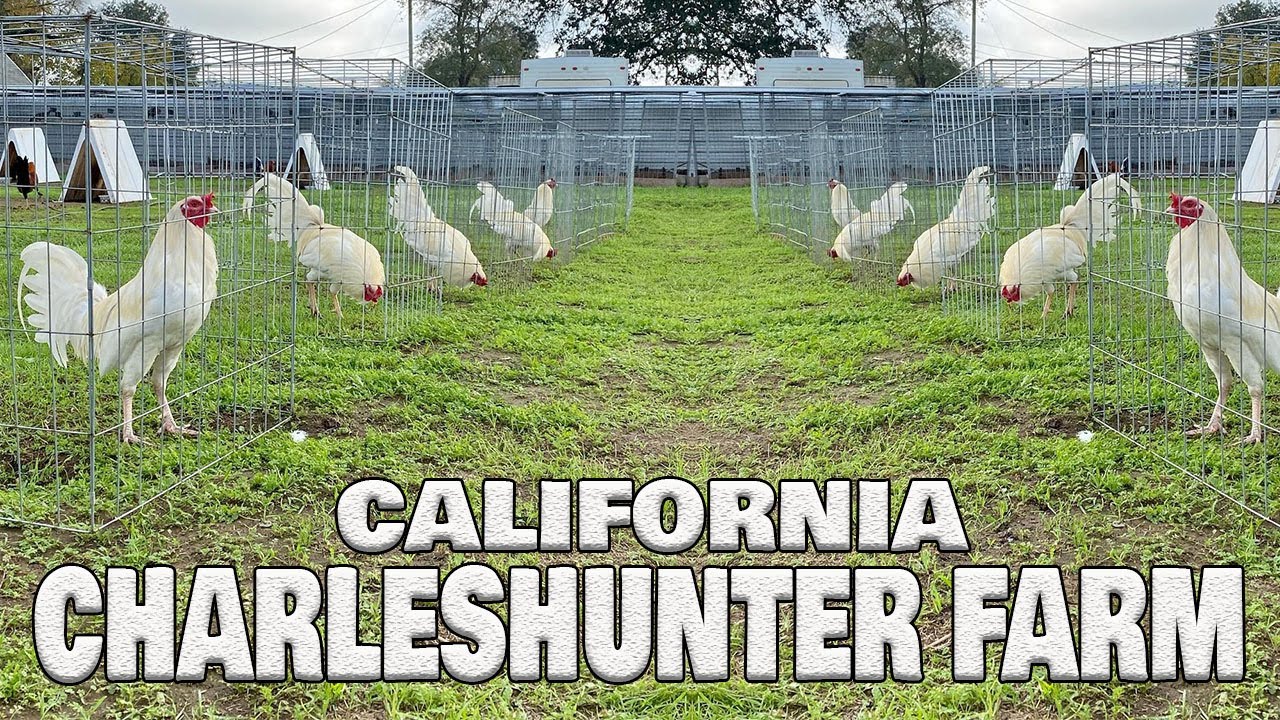 Beautiful White CharlesHunter Farm California - Farm Visit