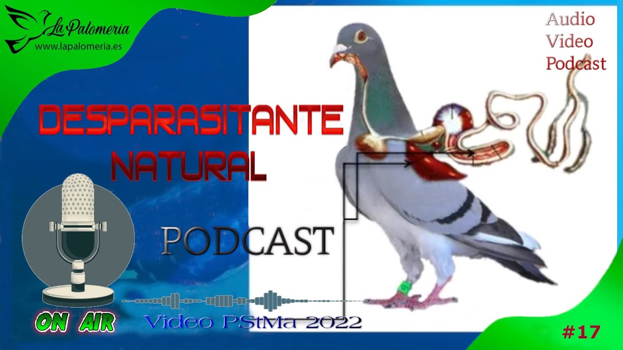Desparasitante Natural para Palomas