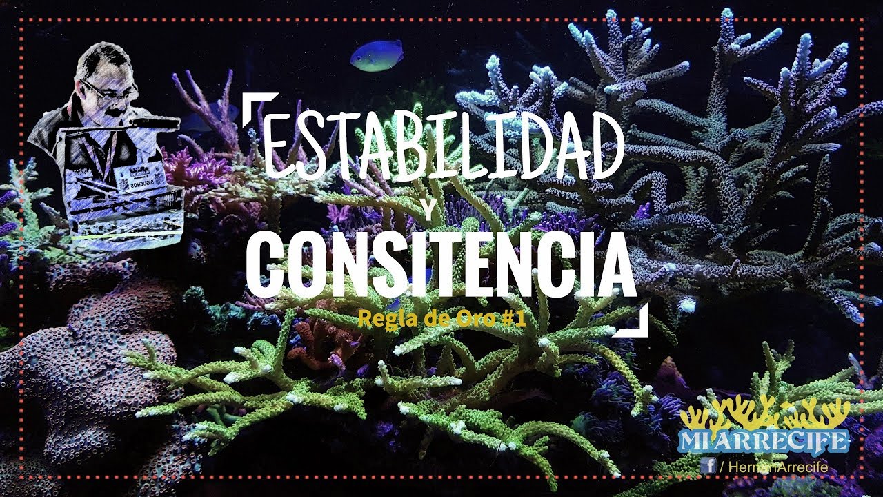 Estabilidad y Consistencia