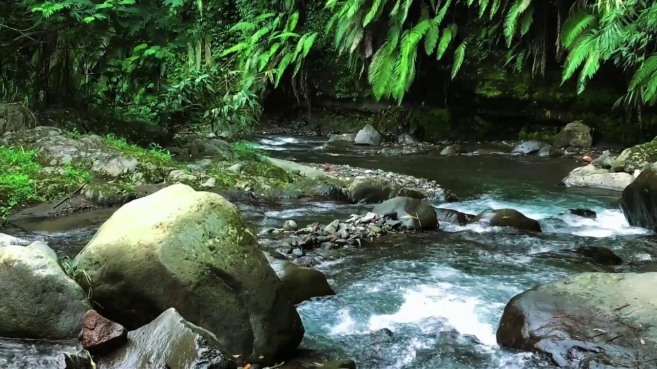 Forest River Sounds – Peaceful Flowing River & Calming Water Sounds for Deep Sleep