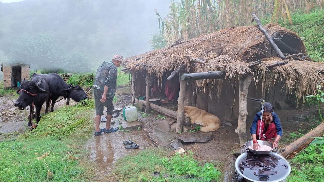 Nepali Mountain Village Traditional Lifestyle | Most Peaceful And Relaxing Village Life | Rainy Day