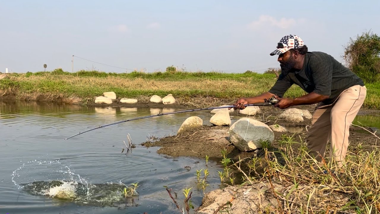 Fishing ✅ Perfect Fishing Frogs ✅ Fish Catching techniques video || cooking 