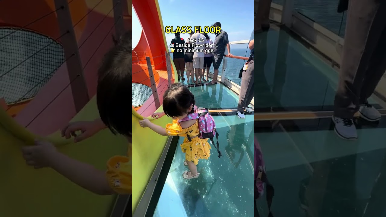 Things You Need To Do with Kids When on the Royal Caribbean Spectrum of the Seas Cruise Ship!