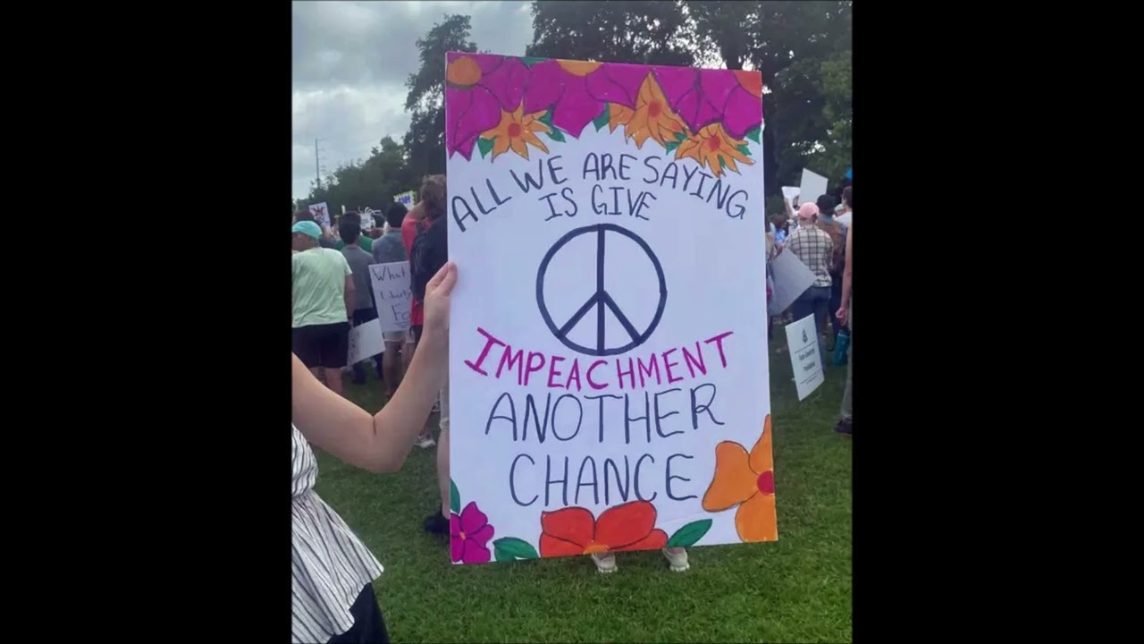 Best Signs No Kings Protest