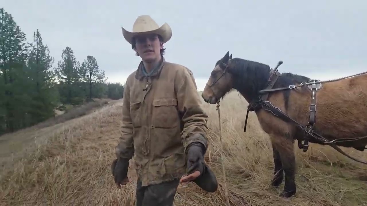 Hauling, wood post to fence building site with a horse.