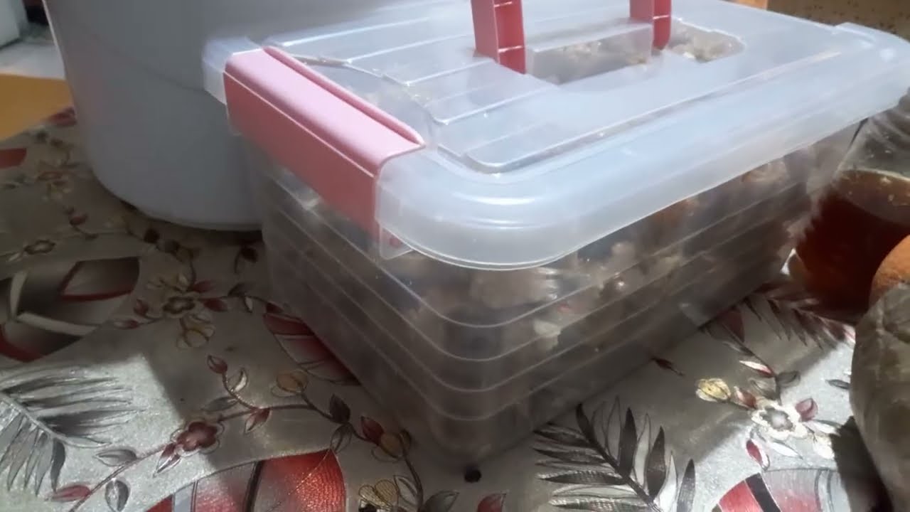 خوتي خواتاتي شاركت معكم هاذ الفديو قبل مانطيح انا طريحة الفراش نتمناكم تدعيوا معايا🤘