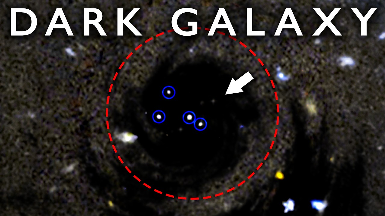 Euclid Found an Entire Galaxy Made of Dark Matter