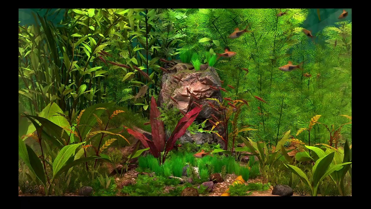 AQUARIUM / FISHTANK IDEAS - ultimate virtual fishtank
