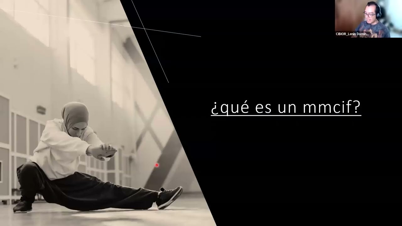 Bioquímica computacional: cómo entender todo lo que nos dice una estructura en PDB (mmCIF)