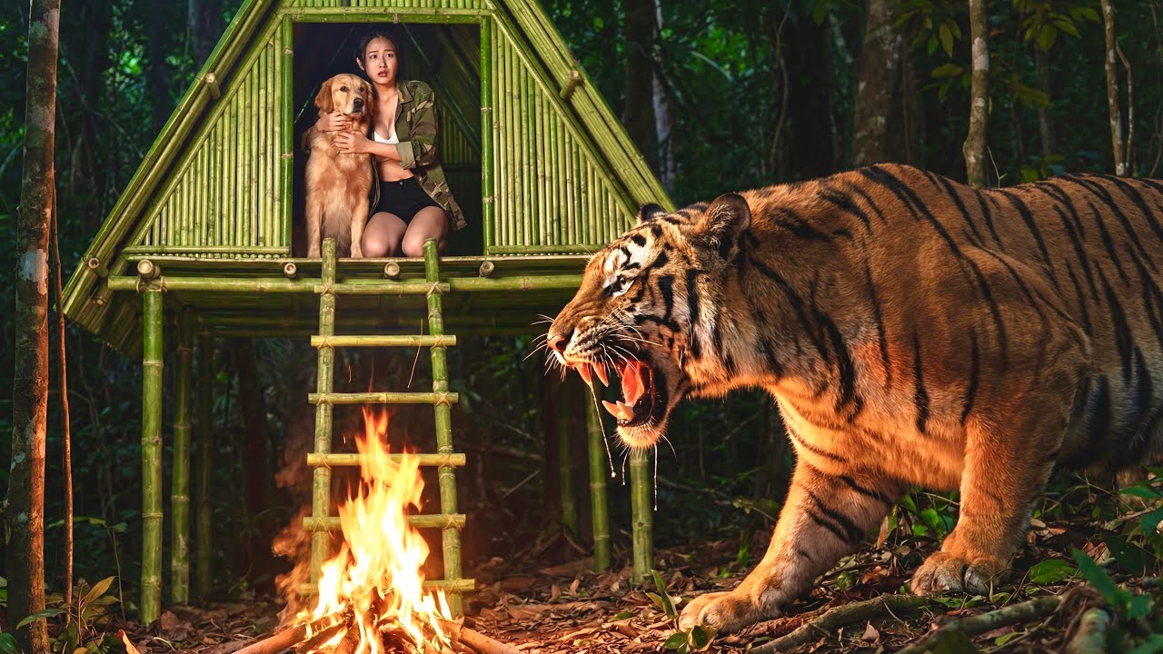Spending the Night Alone in the Jungle: Miraculous Survival Against Adult Tigers - Great Luck
