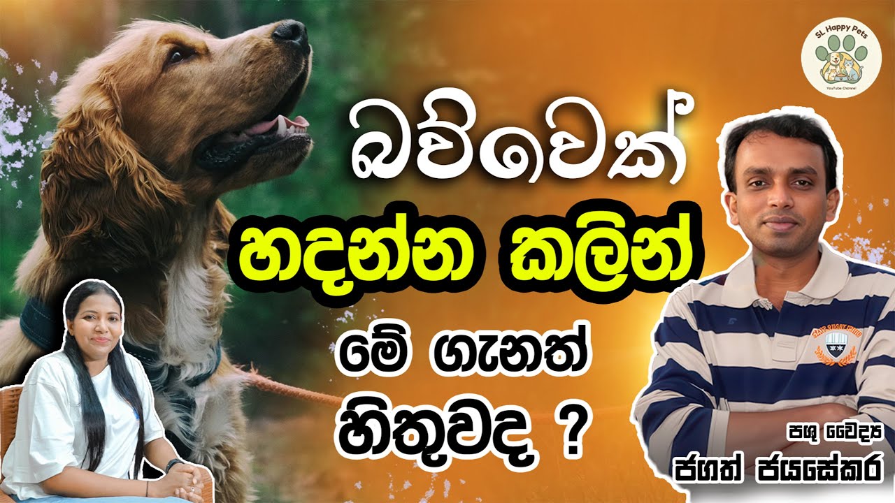 බව්වෙක් හදන්න කලින් මේ ගැනත් හිතුවද ?  | Dr. Jagath Jayasekara | Happy Pets SL