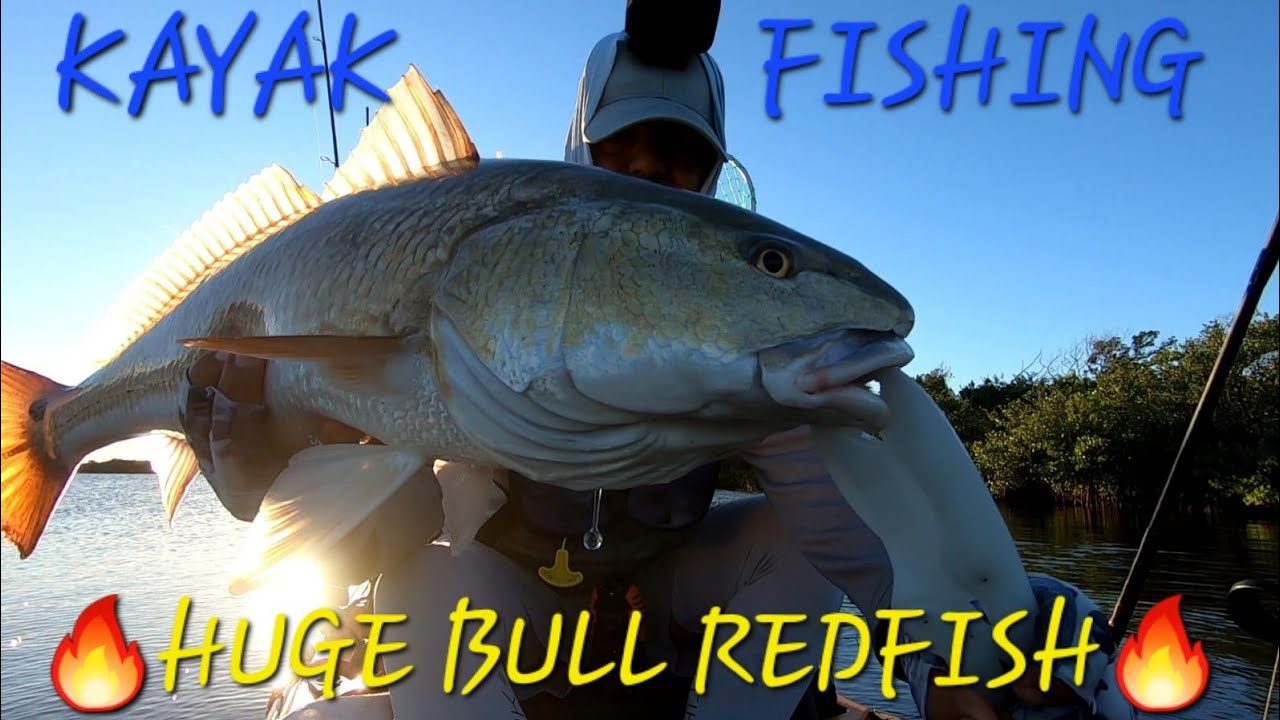 REDFISH Capital Of The World! Kayak Fishing At Mosquito Lagoon!