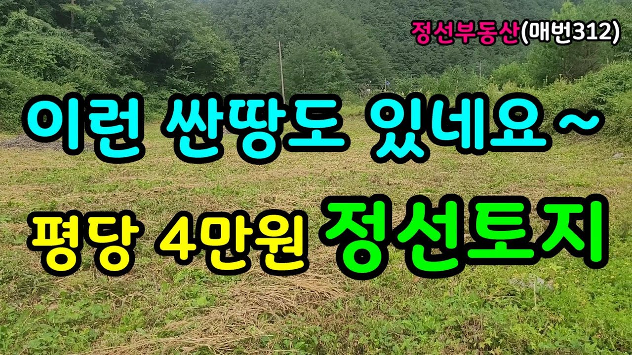 이런 싼땅도 있네요∼∼평당 4만원 정선토지    / 정선토지박사