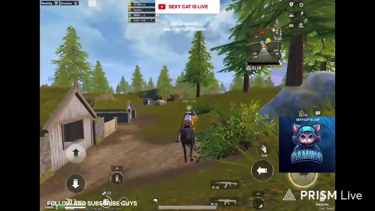 Live streaming of SEXY CAT LIVE