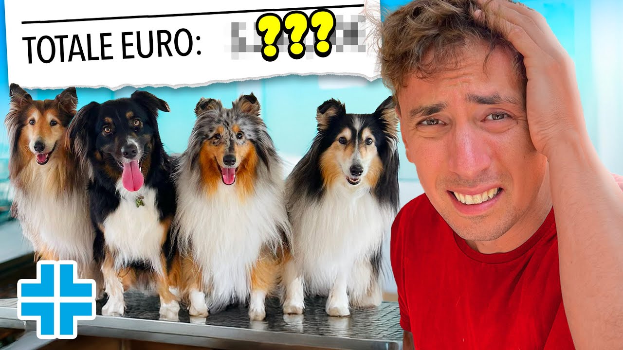 Porto i miei 3 Cani dal VETERINARIO: Quanto ho speso?😱
